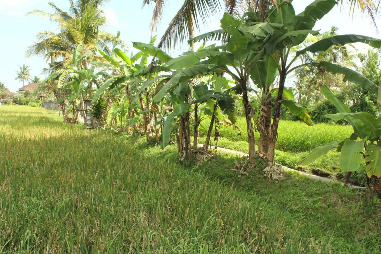 Ubud River Campuhan Villa Εξωτερικό φωτογραφία